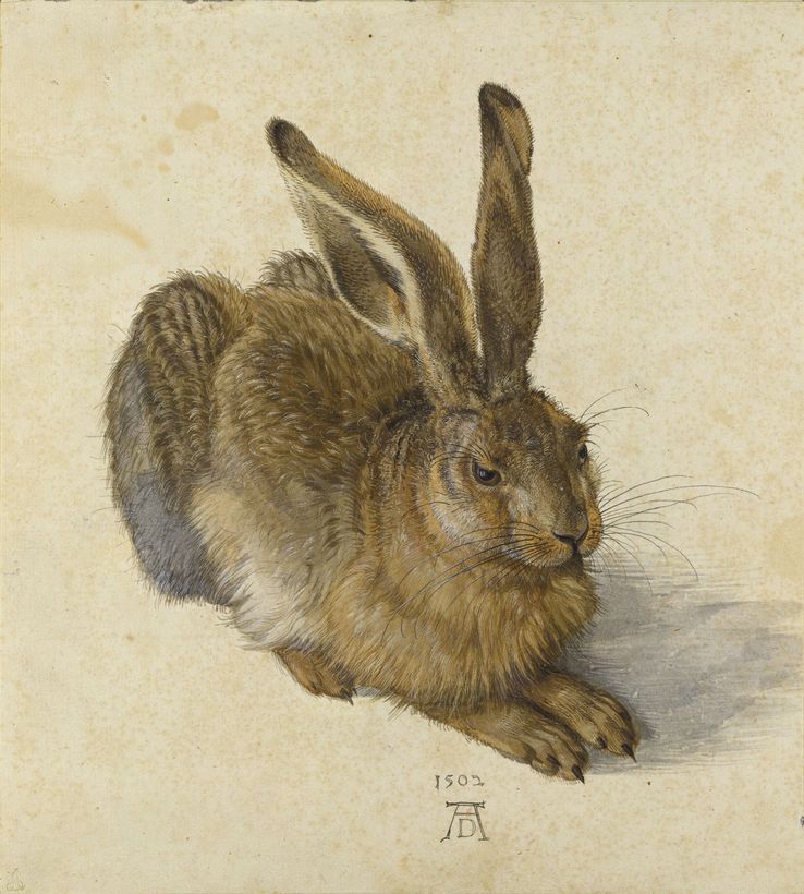 Young Hare by Albrecht Dürer, a detailed watercolor and gouache painting from 1502, capturing the lifelike essence of a hare with meticulous detail.