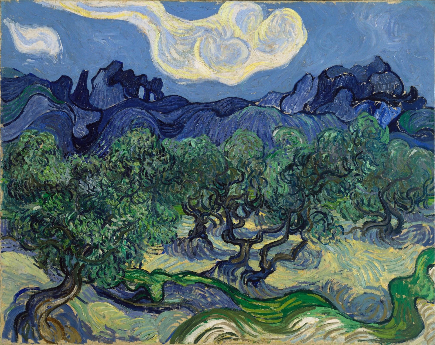 The Olive Trees by Vincent van Gogh, featuring a dynamic depiction of an olive grove with expressive brushstrokes and vivid colors, painted in 1889