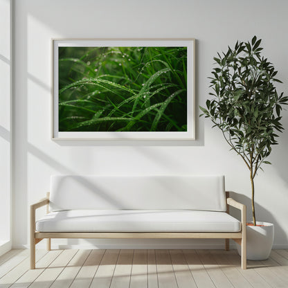 Renewal Rhapsody | Premium Wooden Framed Poster