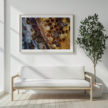 Hive of Harmony | Acrylic Print