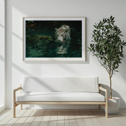 Majesty in the Depths: The White Tiger's Gaze | Premium Wooden Framed Poster